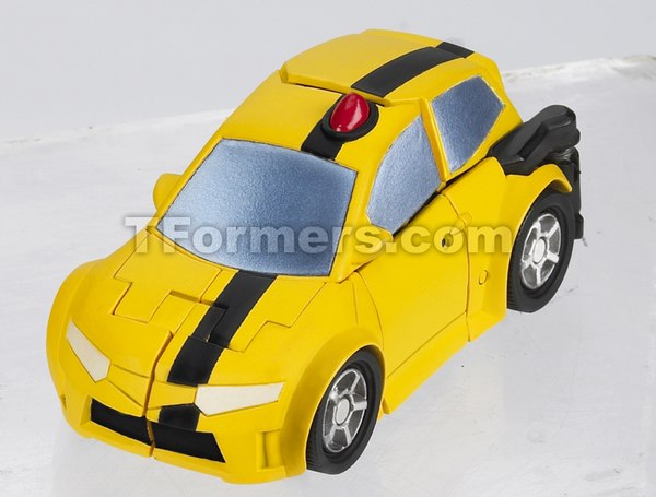 Activators Bumblebee1  (4 of 12)